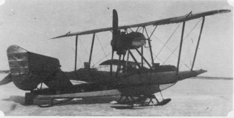 Grigorovich M-11
