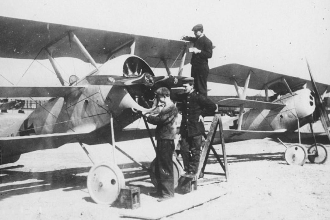 Pfalz Dr.II