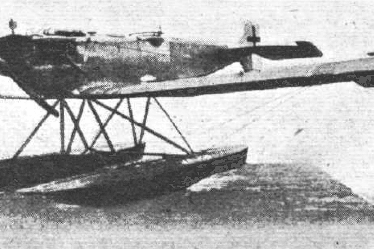 Zeppelin-Lindau CS.I