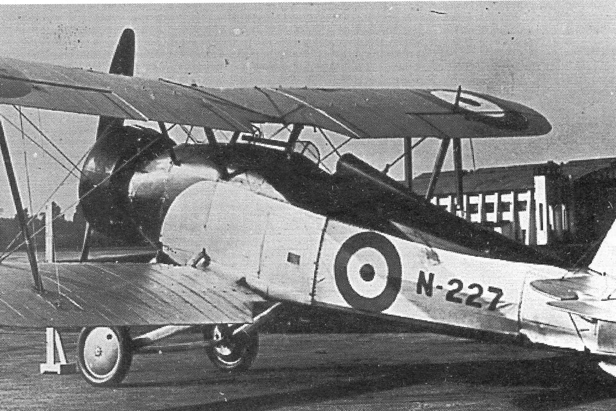 Gloster Gnatsnapper