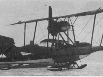 Grigorovich M-11