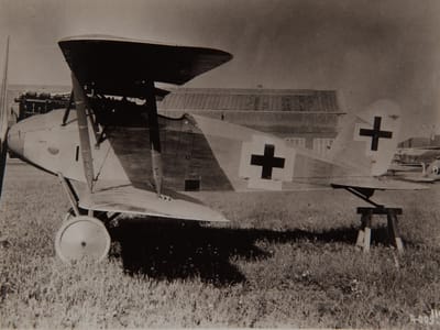 Albatros D.XII