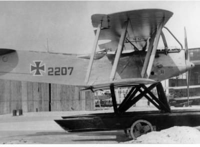 Hansa-Brandenburg W.19