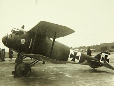 LFG Roland D.I
