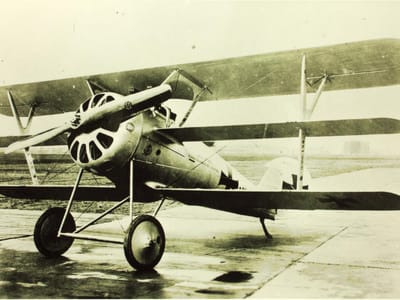 Pfalz Dr.I
