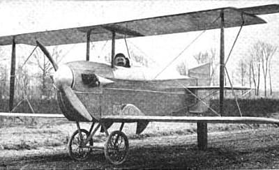 J.V. Martin K.III Kitten