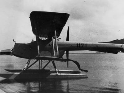 Friedrichshafen FF.34