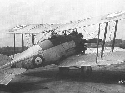 Gloster Gamecock