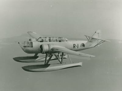 Fokker T.VIII