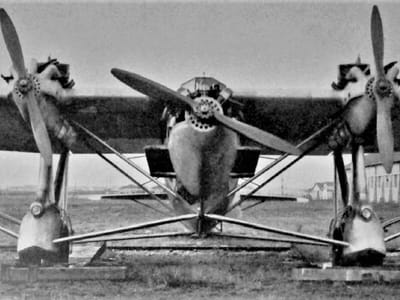 Caproni Ca.95