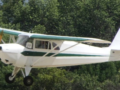 Aeronca Chief family