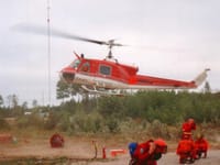 Bell Huey family - Image 4