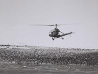 Hiller OH-23 Raven - Image 5