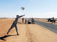AeroVironment Wasp III - Image 2
