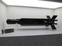 Raytheon Coyote - Image 3