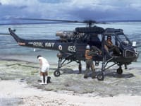 Westland Wasp - Image 2