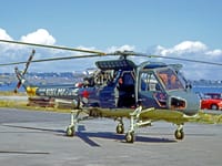 Westland Wasp - Image 5