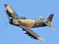 Fairchild Republic A-10 Thunderbolt II - Image 19