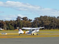 Cessna O-1 Bird Dog - Image 11
