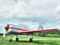 Yakovlev Yak-52 - Image 4