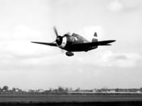Republic P-47 Thunderbolt - Image 5