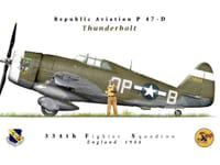 Republic P-47 Thunderbolt - Image 11