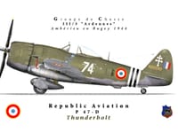 Republic P-47 Thunderbolt - Image 14