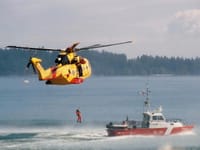 AgustaWestland CH-149 Cormorant - Image 2