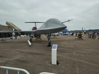 CASC Rainbow - Image 4