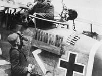 Halberstadt CL.II - Image 3