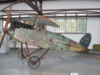 Halberstadt CL.II - Image 2