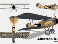 Albatros D.III - Image 7