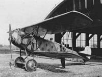 Fokker D.VII - Image 8