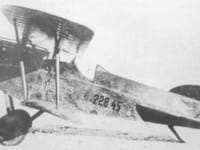 Phönix D.I - Image 3