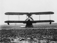 Norman Thompson N.1B - Image 4