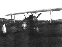 Sopwith Camel - Image 11