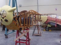 Sopwith Dolphin - Image 5