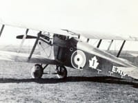 Sopwith Dolphin - Image 10