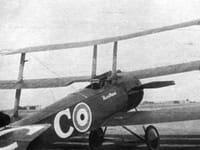 Sopwith Triplane - Image 3