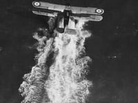 Fairey III - Image 4