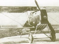 Ansaldo A.1 Balilla - Image 2