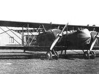 Caudron R.11