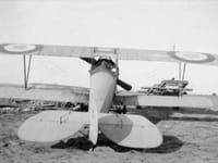 Nieuport 10 - Image 7