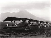 Nieuport 17 - Image 6