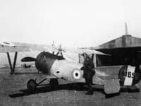 Nieuport 17 - Image 13