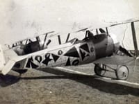 Nieuport 24 - Image 2