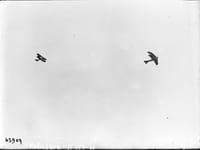 Ponnier M.1 - Image 2