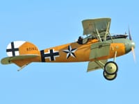 Albatros D.V
