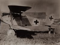 Albatros D.XII