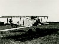 Fokker D.III